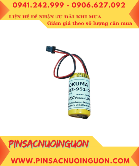 OKUMA E5503-951-001, Pin nuôi nguồn OKUMA E5503-951-001 Lithium 3v, Xuất xứ NHẬT