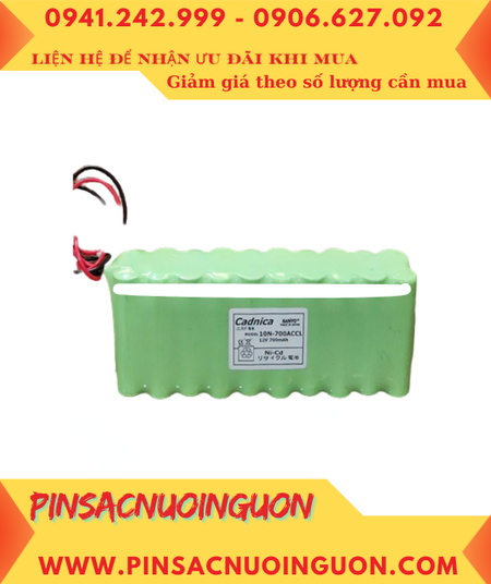 Yamaha 10N-700ACCL; Pin nuôi nguồn YAMAHA 10N-700ACCL (12v-700mAh) /XUẤT XỨ NHẬT