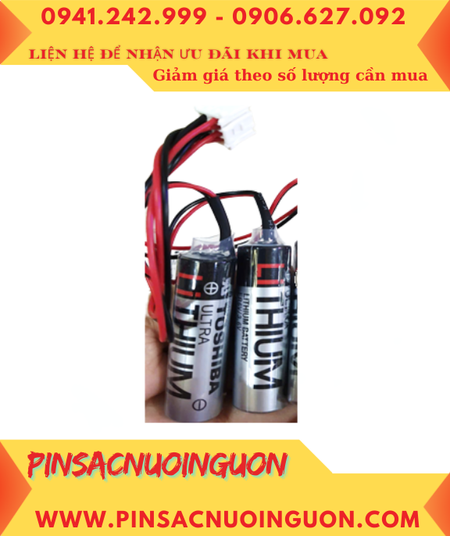 Yaskawa ER6VC4; Pin nuôi nguồn Motoman Yaskawa ER6VC4 lithium 3.6v 8000mAh /Xuất xứ NHẬT