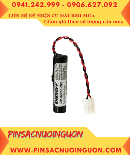 GE Fanuc 740A0001 _Pin nuôi nguồn GE Fanuc 740A0001 lithium 3.0v 1450mAh (Xuất xứ Nhật)