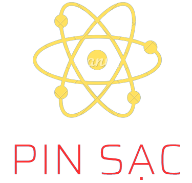 Pin