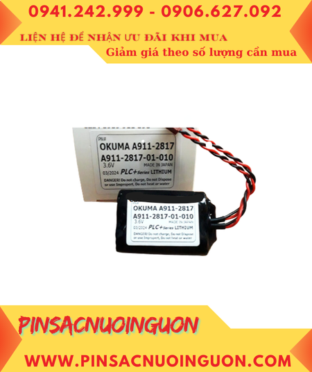 Okuma A911-2817-01-010, Pin nuôi nguồn PLC Okuma A911-2817-01-010 chính hãng