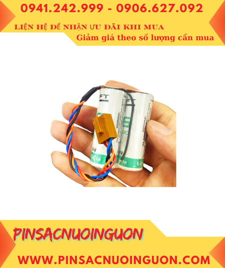 CV 2024 12 05T144657 740