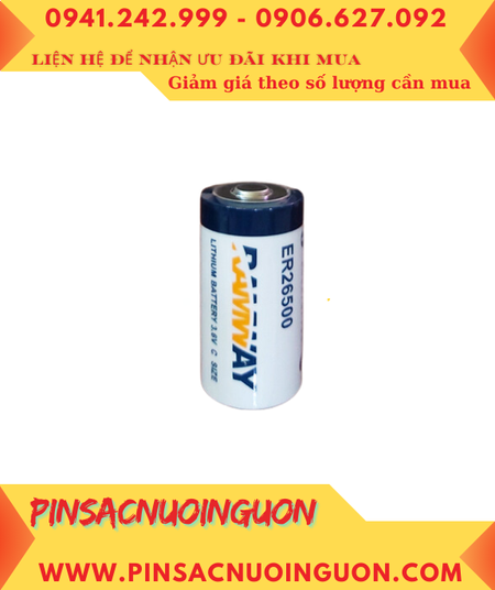 CV 2024 12 15T143316 976