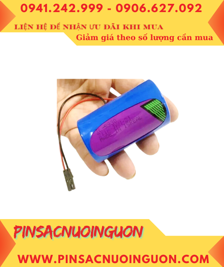 CV 2024 12 16T130313 836