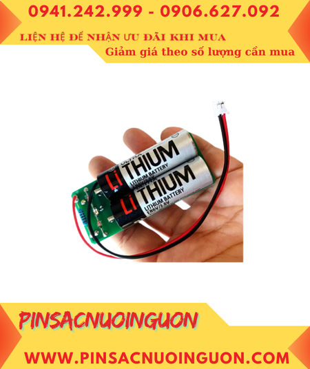 Pin nuôi nguồn ER6-3C38 SF16915 Battery Pack 3.6v For FGBB631BDL-72X Flow Meter, Xuất xứ NHẬT