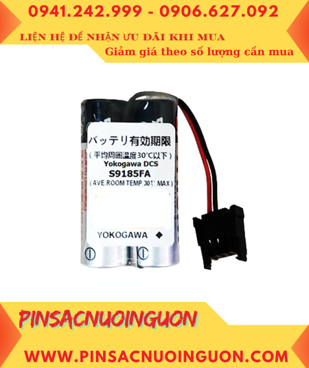Toshiba 2ER17500V; Pin nuôi nguồn Toshiba 2ER17500V 3.6v 5400mAh (2 viên ghép đôi) _Xuất xứ Nhật