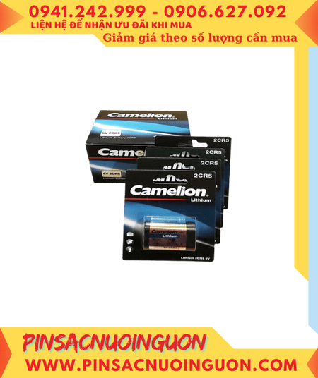 SALE (76 2 x 90 81 mm) 2024 10 29T153441 777